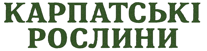 Рослина Карпат